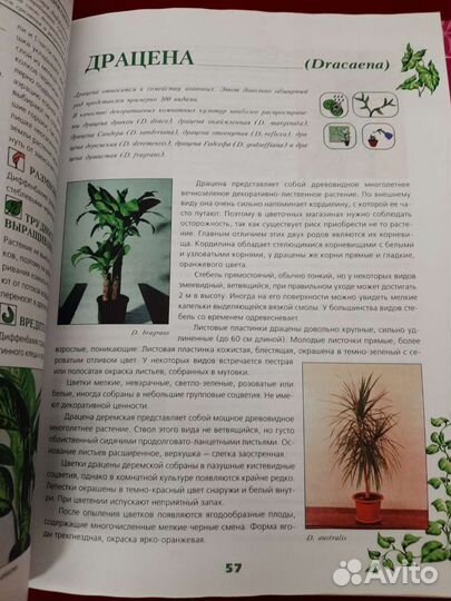 Книги энциклопедия комнатных растений