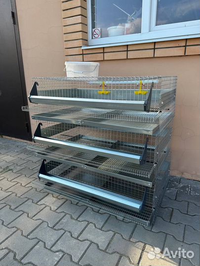 Клетки для перепелов