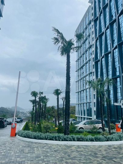 Квартира-студия, 24 м², 8/20 эт.