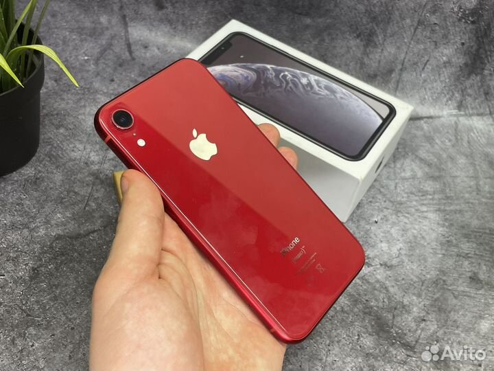 iPhone Xr, 64 ГБ