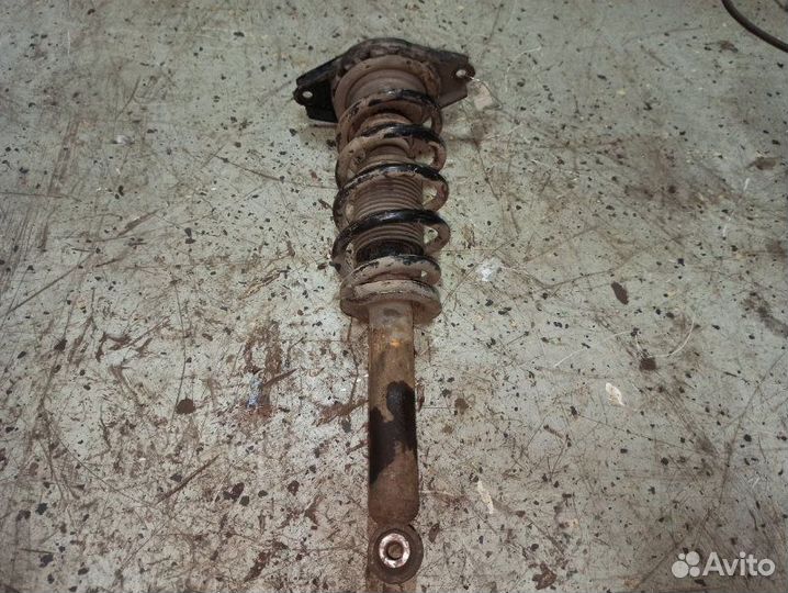 Стойка подвески задняя Nissan Primera P12 лифтбек