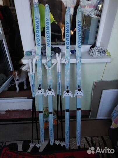 Беговые лыжи