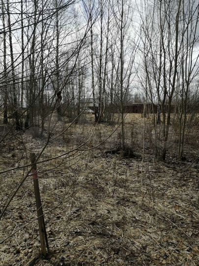 Участок 8 сот. (ИЖС)