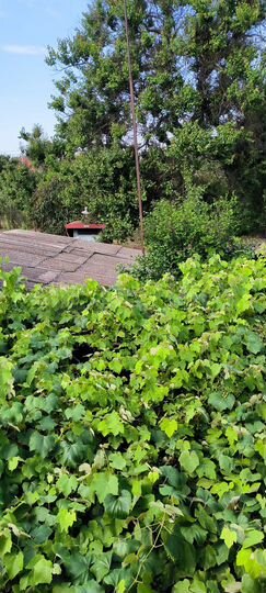 Дом 92 м² на участке 6,6 сот.