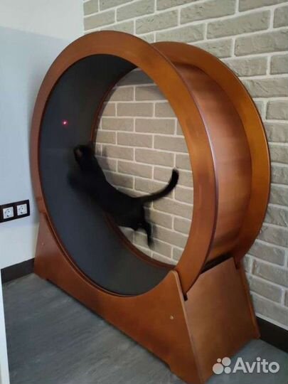 Беговое колесо для кошек