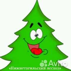 Водитель на лесовоз