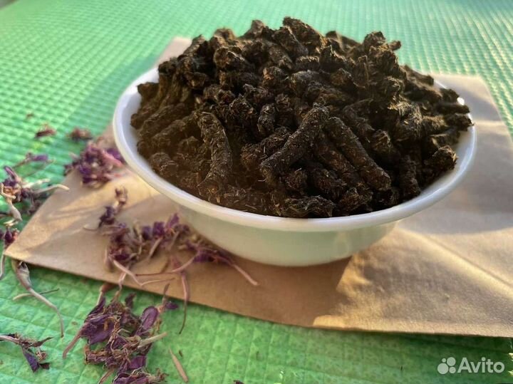 Иван-чай кипрей, свежий 2023, здоровая польза