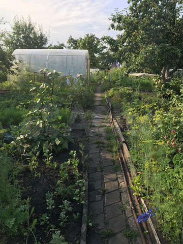 Участок 6 сот. (СНТ, ДНП)