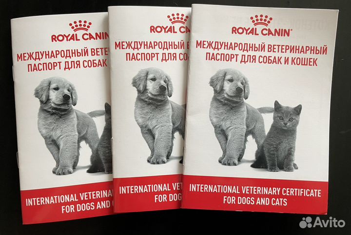 Ветеринарный паспорт