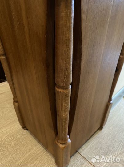 Зонтовница, Голандия, дуб