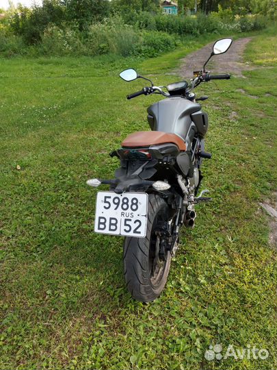 Regulmoto alien monster