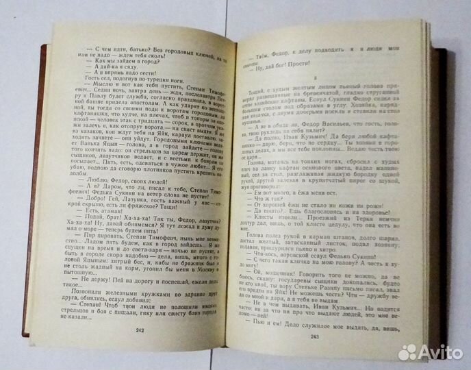 Разин Степан