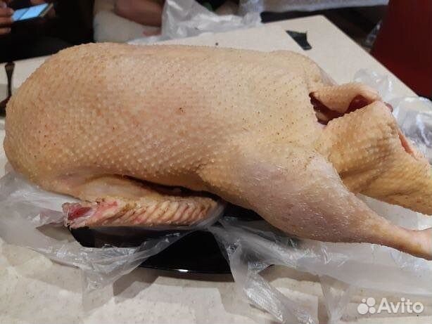 Мясо утки мулард,бройлер,Куры редбро С доставкой