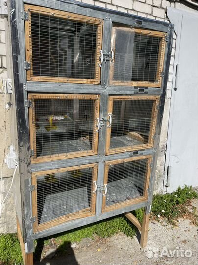 Клетка брудер для цыплят