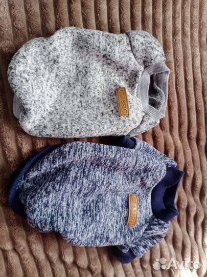 Вещи на маленькую собачку