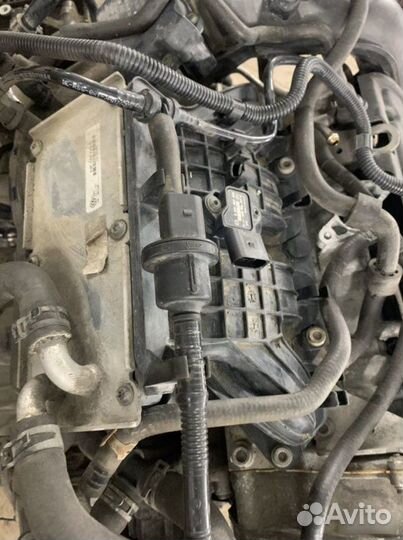 Коллектор впускной Skoda Octavia A5