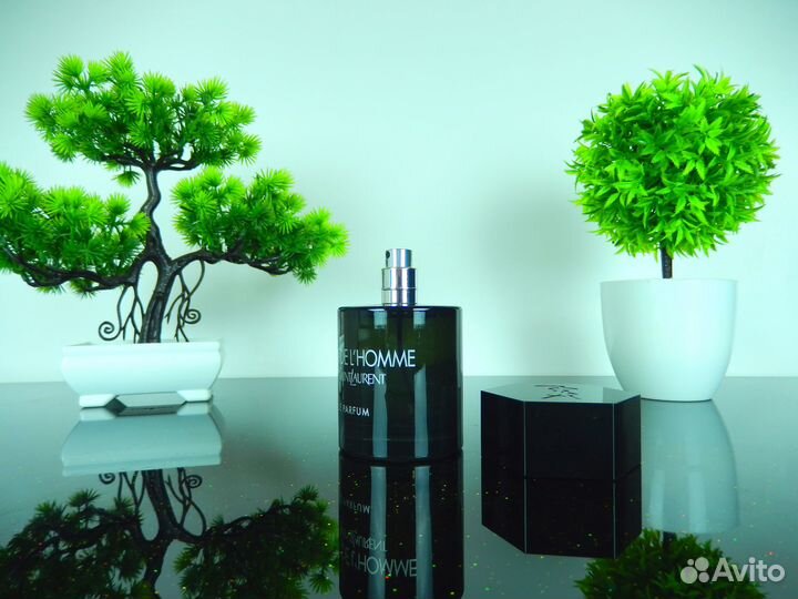 Yves Saint Laurent La Nuit de L'Homme Le Parfum