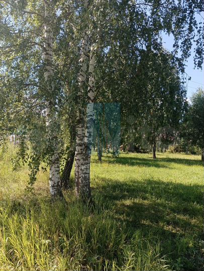 Участок 6 сот. (СНТ, ДНП)