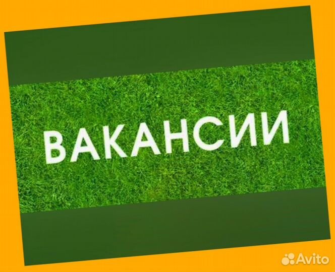 Мойщик Работа вахтой Прожив. Питание Аванс Хор.Усл