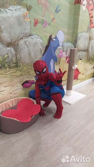 Костюм Человек паук. Праздничный костюм