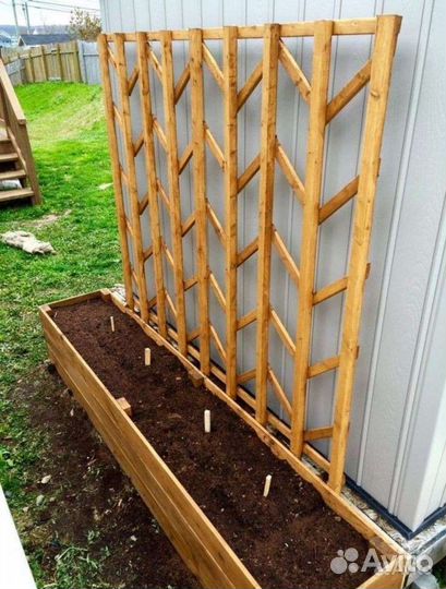 Грядка деревянная под огурцы вьющиеся растения