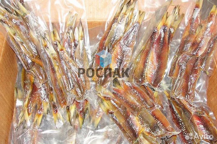 Упаковочный вакуумный аппарат IVP-500 indokor