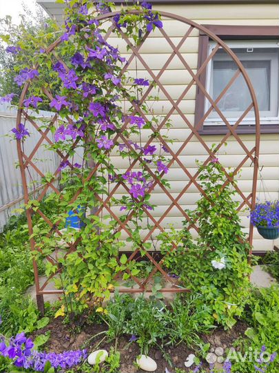 Шпалера арка