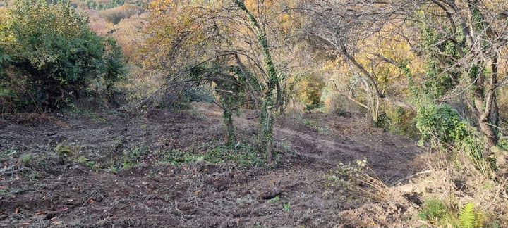 Участок 5,8 сот. (СНТ, ДНП)