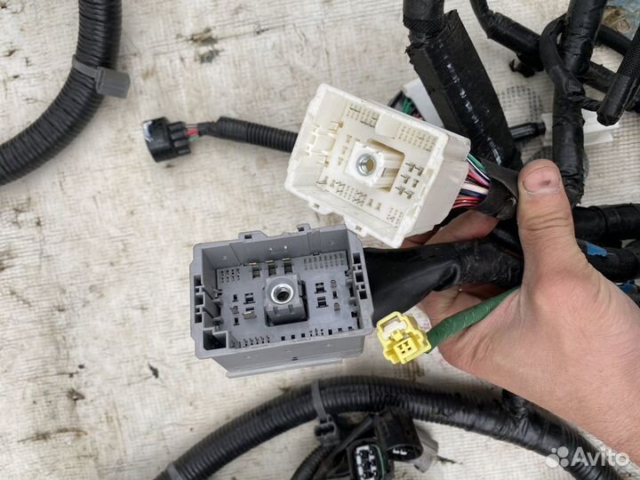 Lexus Lx570 Проводка моторного отсека