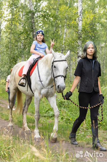 Конные прогулки, занятия