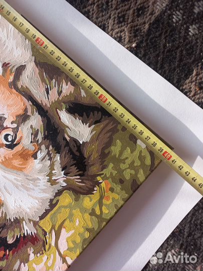 Картина по номерам собака