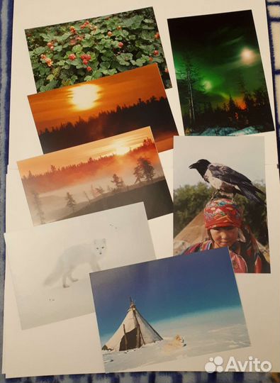 Фотокарточки 