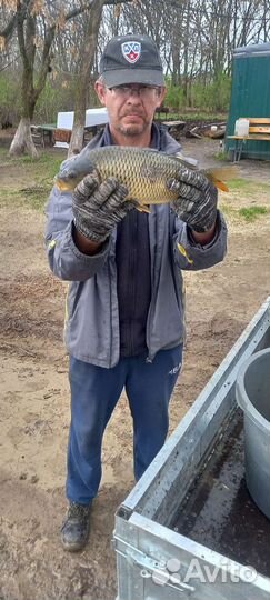 Платная рыбалка - Козлаковские пруды