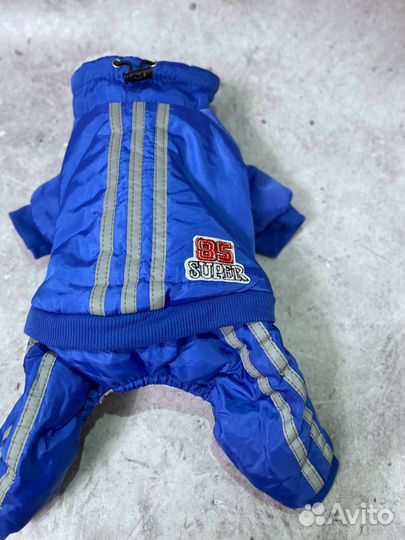 Новый Комбинезон для собак и кошек L