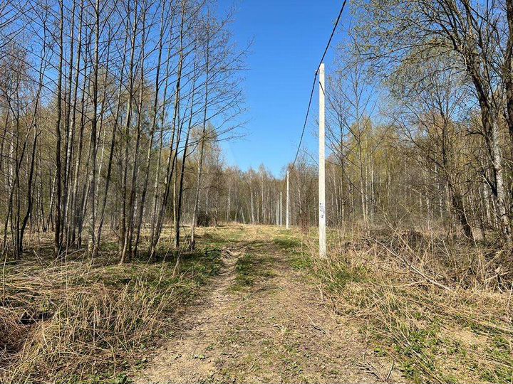 Участок 10,9 сот. (ИЖС)