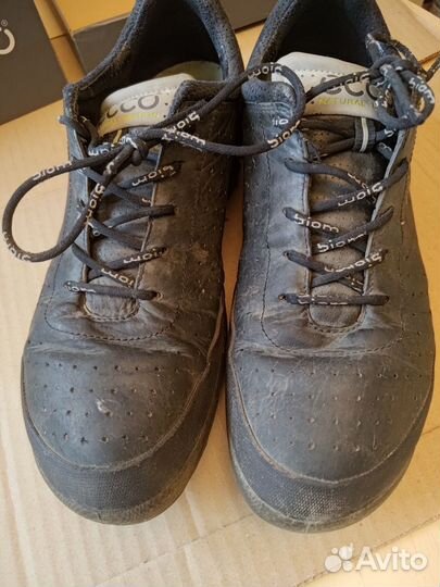 Кроссовки мужские Ecco biom 41