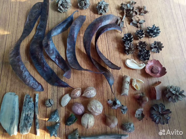 Ракушки набор, наборы для творчества