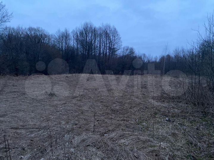 Участок 3 га (ИЖС)