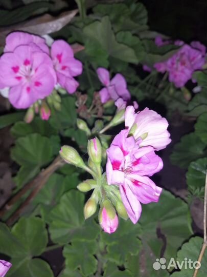 Декор цветы