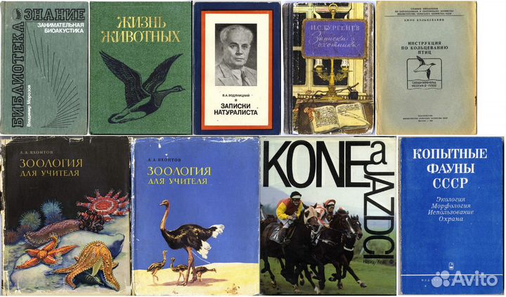 Книги Охота, рыбалка, природа, животные