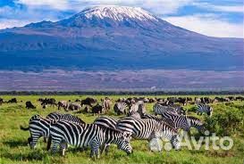 Тур в Кению