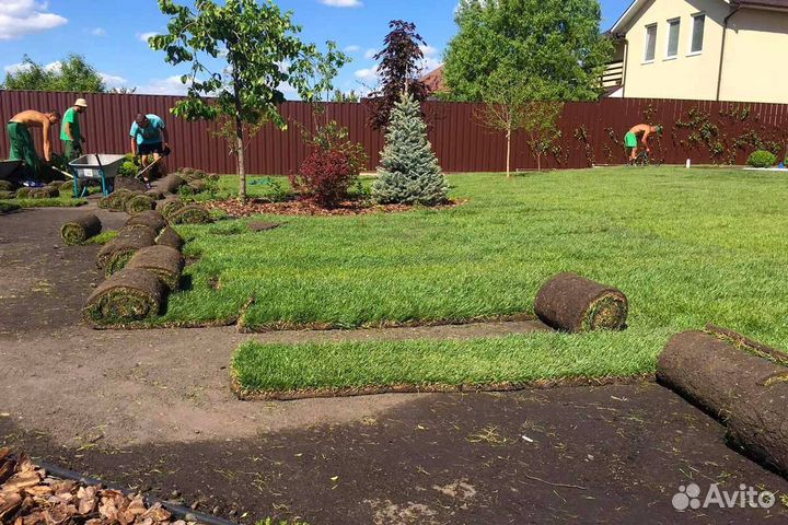 Рулонный газон, укладка рулонного газона