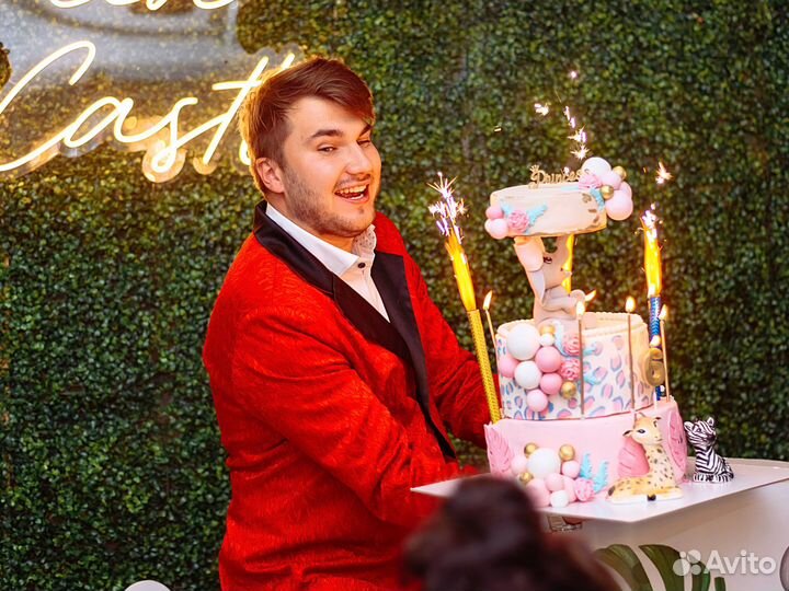 Фокусник и 5 зверюшек Программа Magic Story