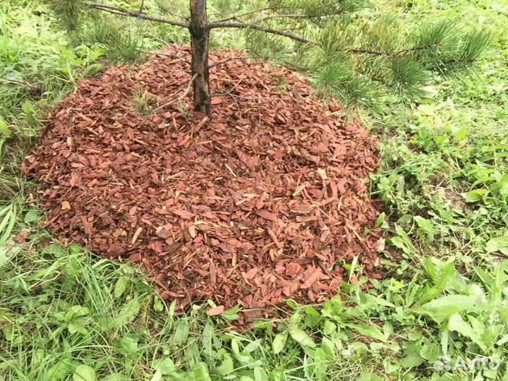 Кора лиственницы (мульча)