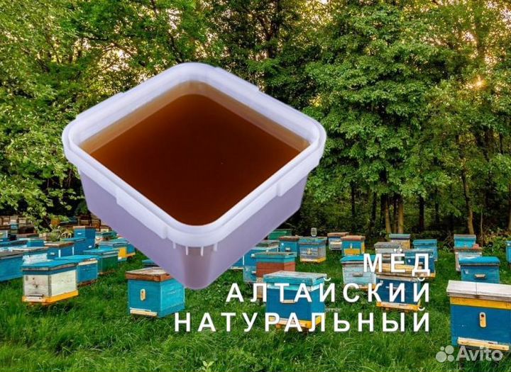 Мёд натуральный алтайский опт