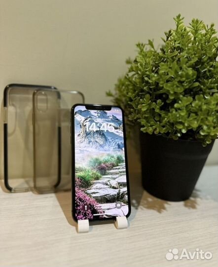 iPhone X, 256 ГБ