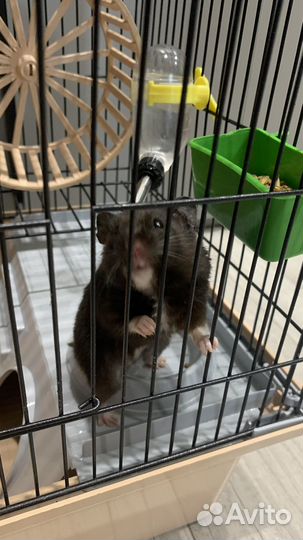 Клетка для грызунов