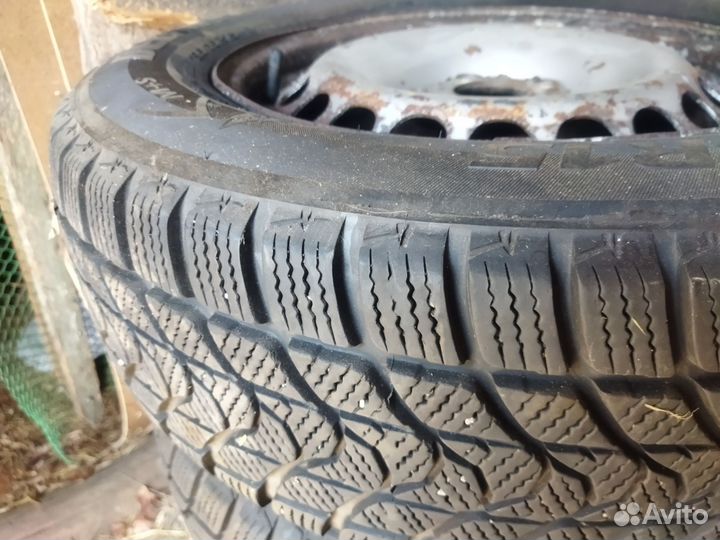 Delinte WD1 195/65 R15