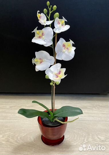 Имитация настоящей орхидеи «Икеа» 50 см