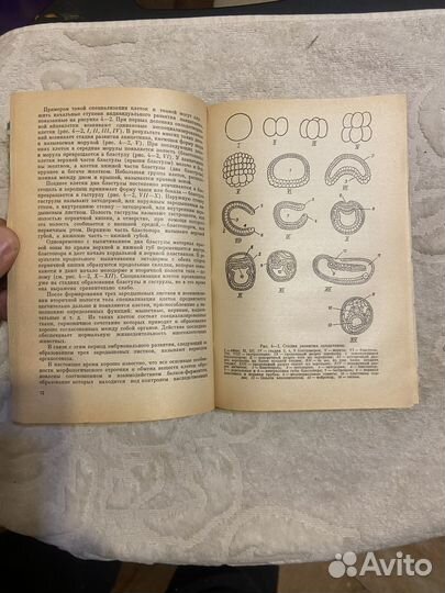 Дубинин И. Общая биология. Пособие для учителя